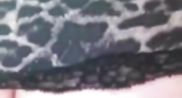 লম্বা সুন্দরী সেক্স ভিডিও এইচডি ফুল ইডেন সিন লাল কেশিক পেনি প্যাক্স পরিদর্শন করেছেন