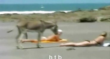 এলা রিস ডাক্তারকে তার স্তন কমাতে এইচডি সেক্স ভিডিও এবং তার হাইমেন অপসারণ করতে বলে