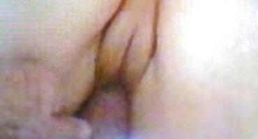 টিয়ার গাধা