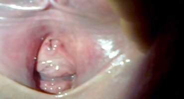 একটি বড় সেক্স এইচডি ভিডিও গাধা প্রাপ্ত